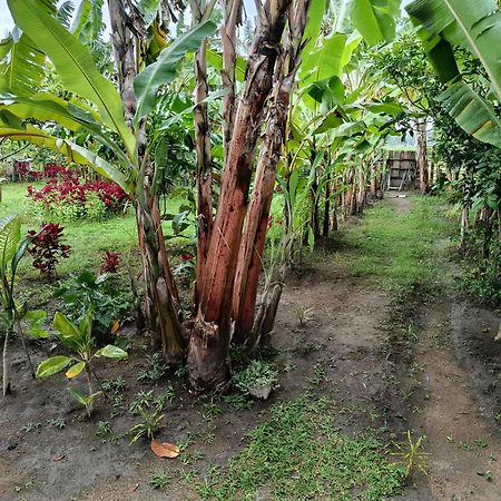 The Daun Puntik Homestay Pemenang 외부 사진