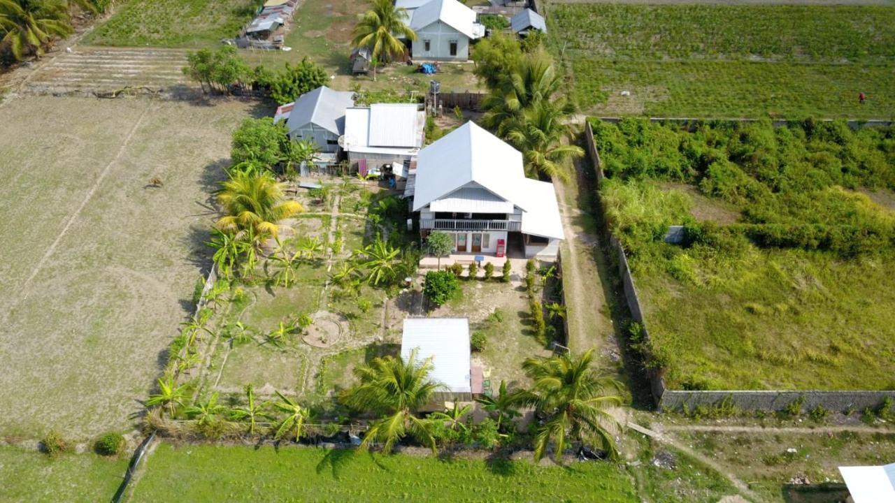 The Daun Puntik Homestay Pemenang 외부 사진