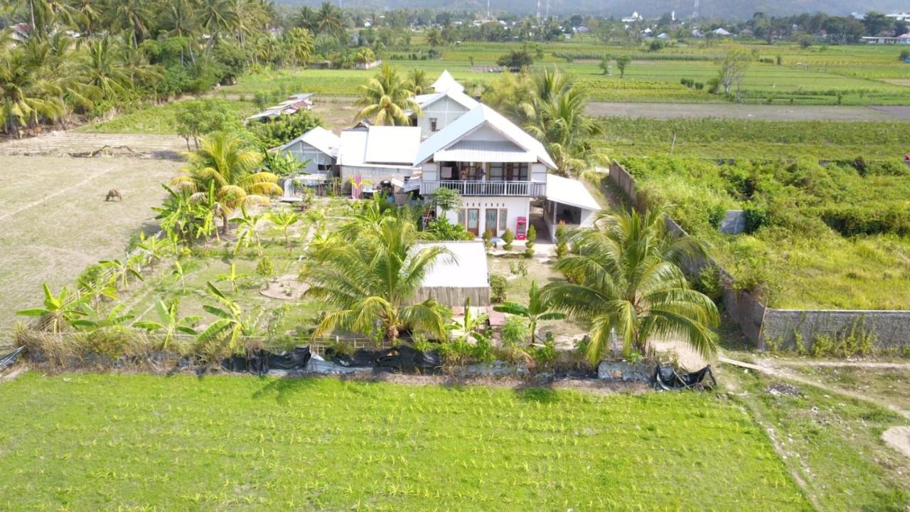 The Daun Puntik Homestay Pemenang 외부 사진