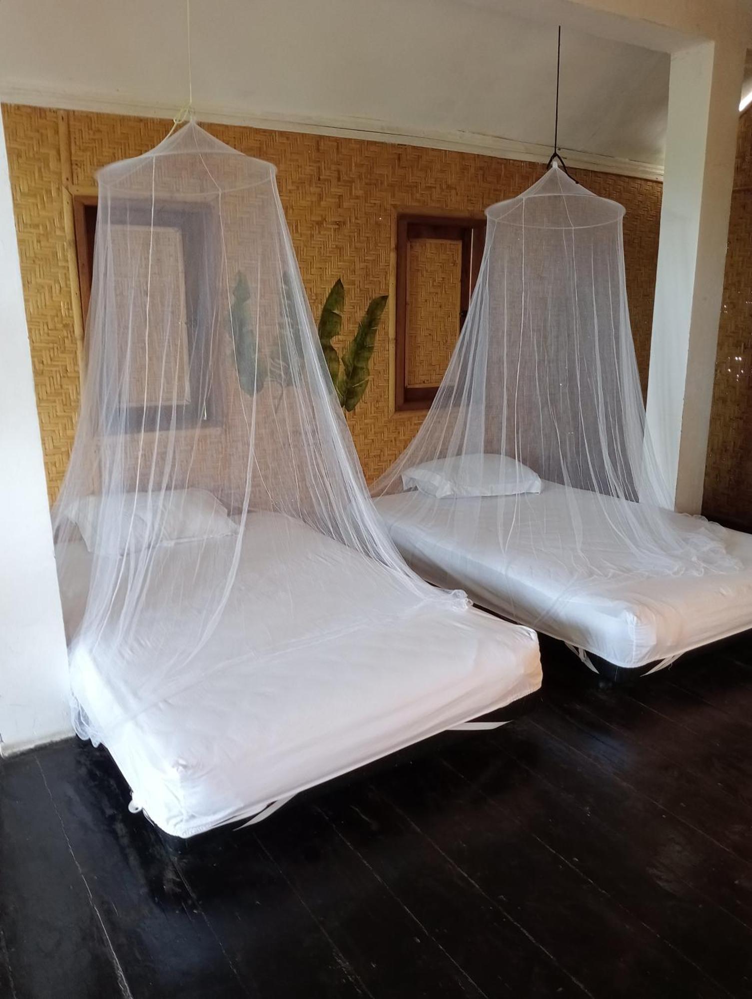 The Daun Puntik Homestay Pemenang 외부 사진