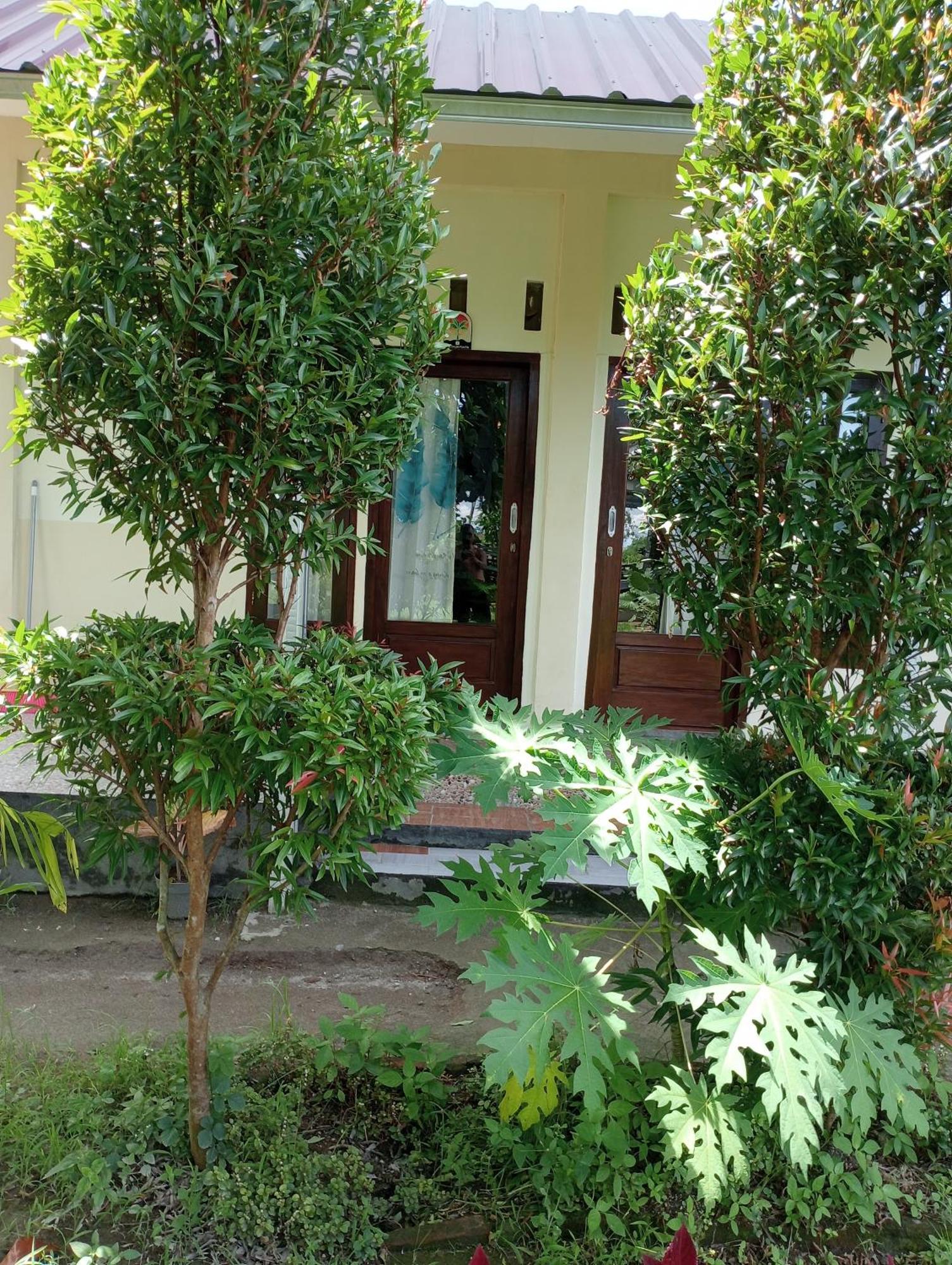 The Daun Puntik Homestay Pemenang 외부 사진
